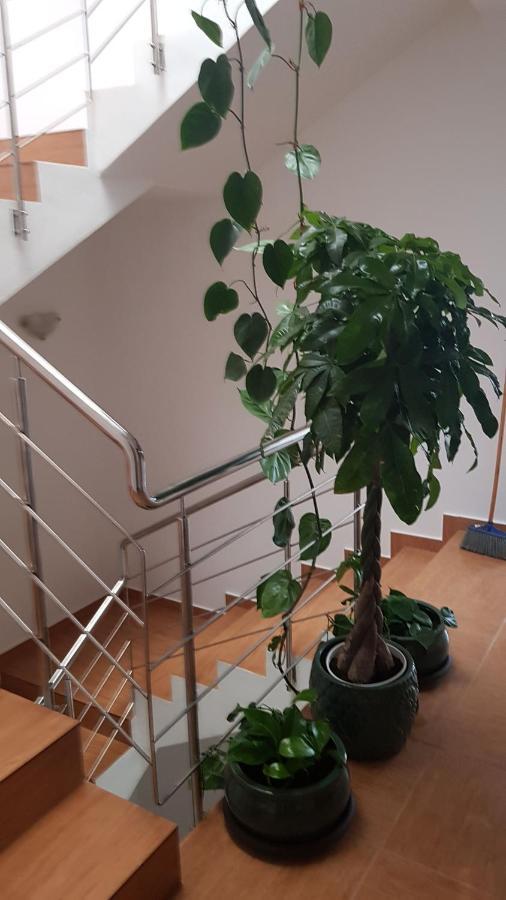 Dativo House Năvodari Exteriér fotografie