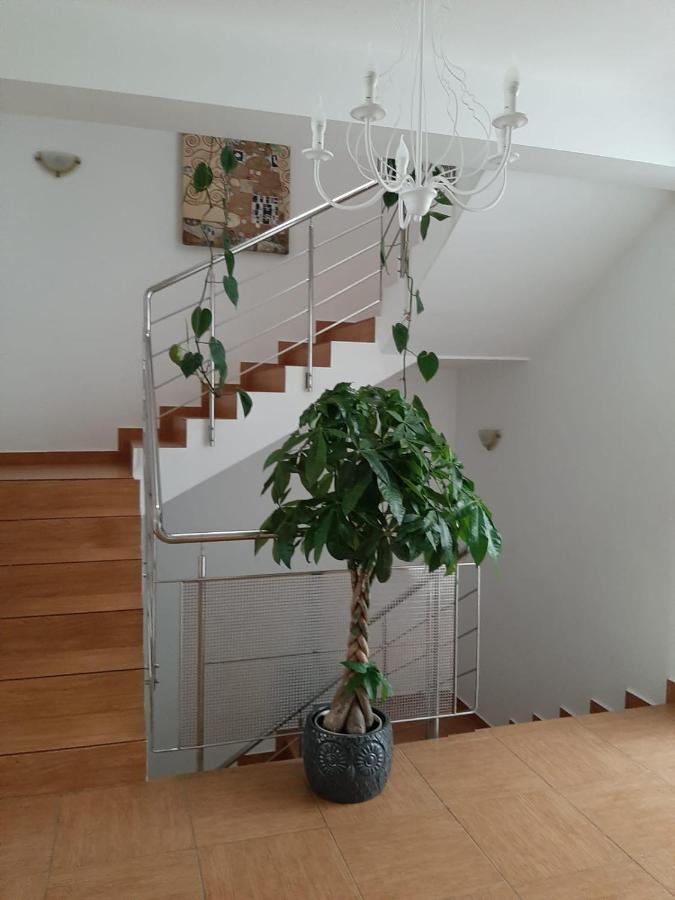 Dativo House Năvodari Exteriér fotografie