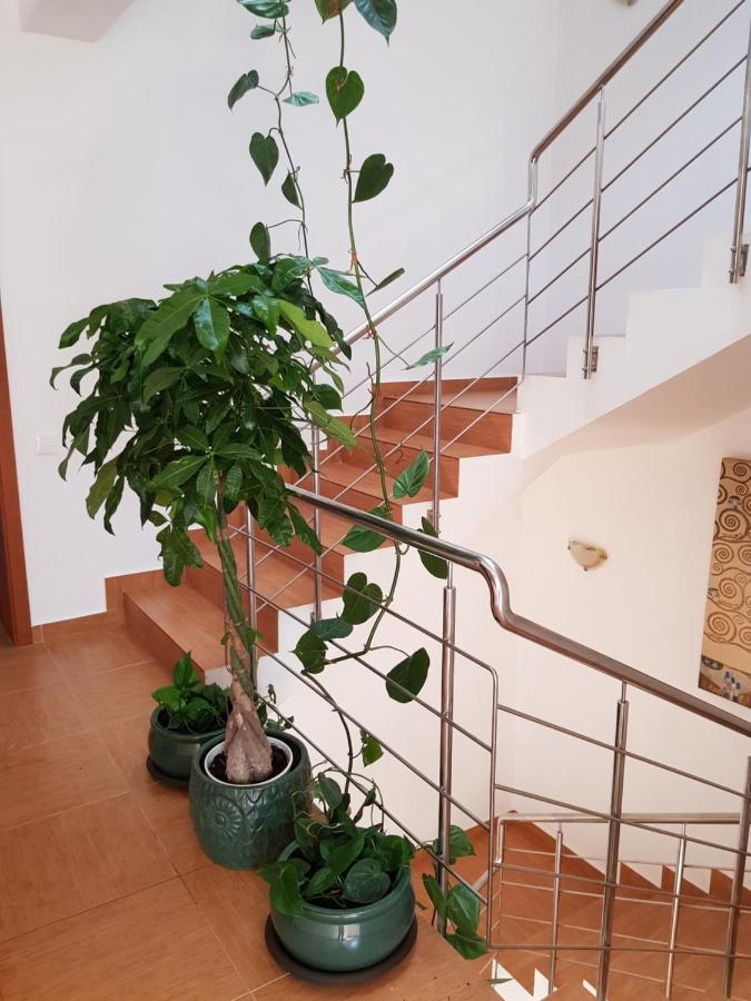 Dativo House Năvodari Exteriér fotografie