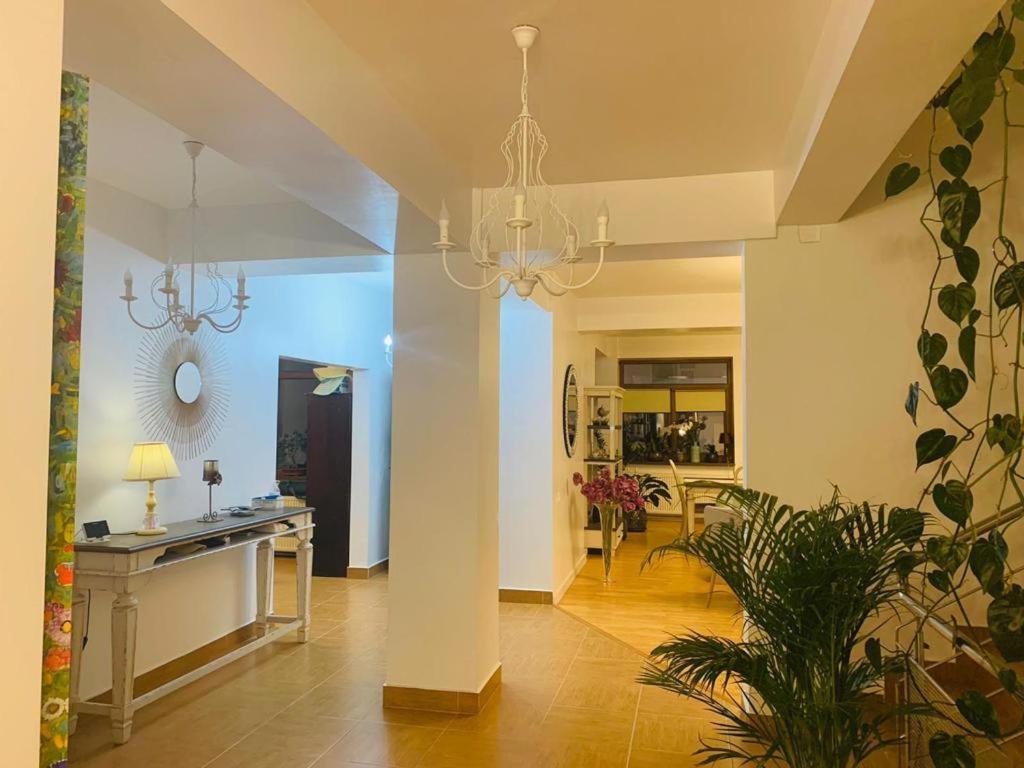 Dativo House Năvodari Exteriér fotografie