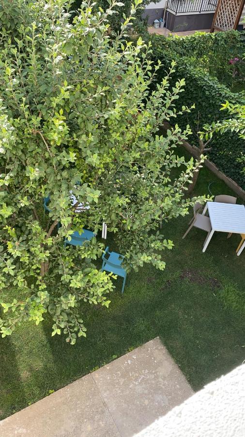 Dativo House Năvodari Exteriér fotografie